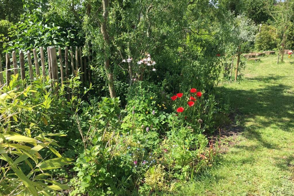 Unterkunft Am Hang Eutin Zewnętrze zdjęcie